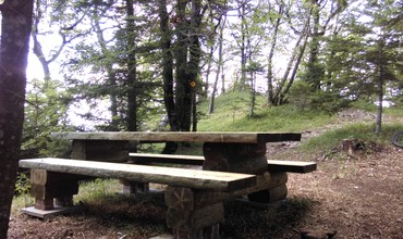 Nouvelles tables de pique-nique