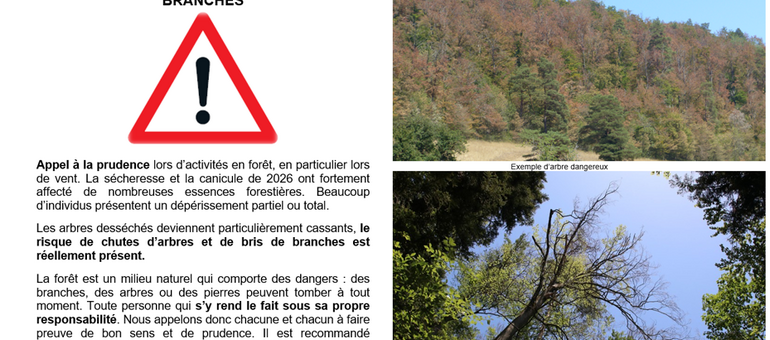 Prudence en forêt