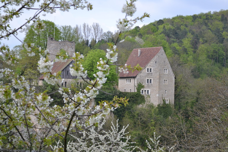 Château de Pleujouse