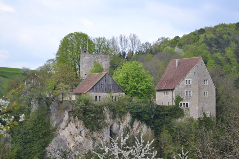 Château de Pleujouse