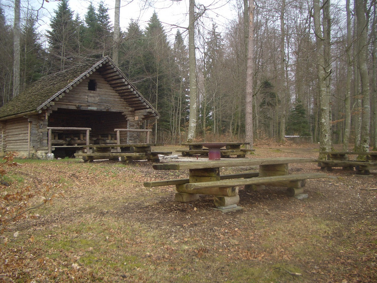 Cabane forestière de Miécourt
