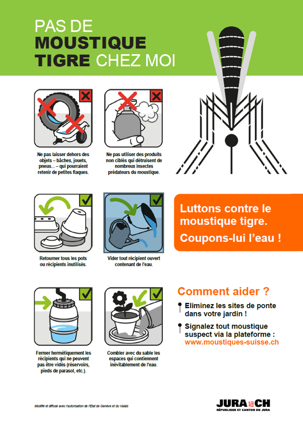 Moustique tigre