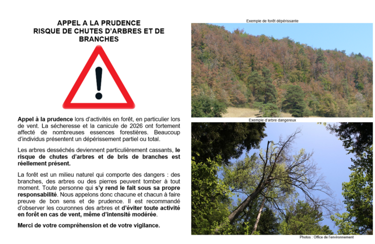 Appel à la prudence en forêt