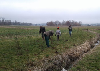 Plantation de haies à Miécourt