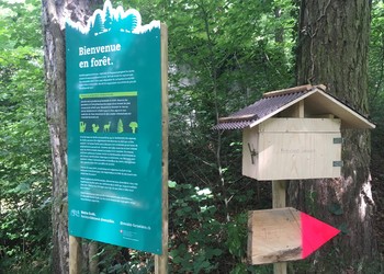 Sentier didactique en forêt