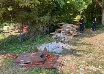 Description de l'image