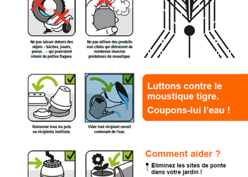 Lutte contre le moustique tigre