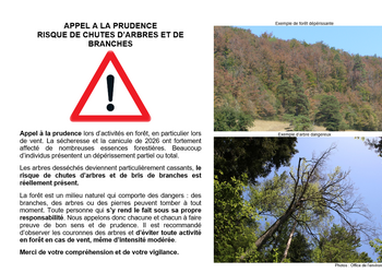 Prudence en forêt