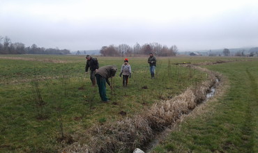 Plantation de haies à Miécourt