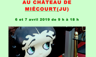 Brocante au château de Miécourt