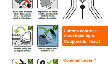 Lutte contre le moustique tigre