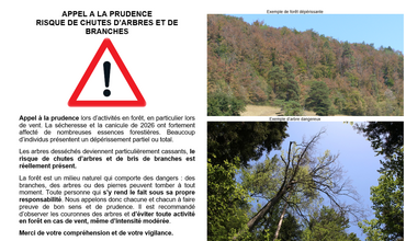Prudence en forêt